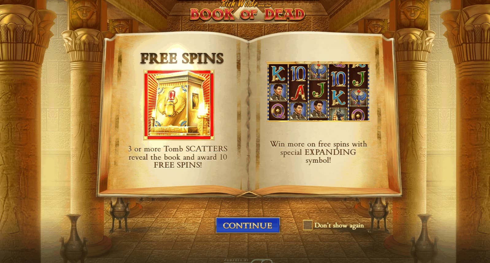 Book of Dead slot